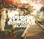 Southern Blood - Gregg Allman