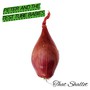 That Shallot - Peter & The Test Tube Babies