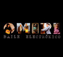 Baile Electronico - Omiri