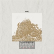 Another Brown World/Baby - Coil