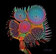 Volva - Echolot Volva - Echolot