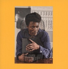 I Tell A Fly - Benjamin Clementine