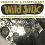 Visions In A Plaster Sky: The Complete Recordings 1968-1969 - Wild Silk