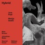 Hybrid - Jure  Pukl  / Matija  Dedic 