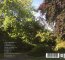 From The Trees - Peter Hammill - powiększ From The Trees - Peter Hammill