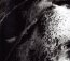 Misanthrope - Celeste - bigger Misanthrope - Celeste