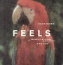 Feels - Calvin Harris / Pharrell Williams / Katy Perry / Big Sean