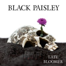 Late Bloomer - Black Paisley