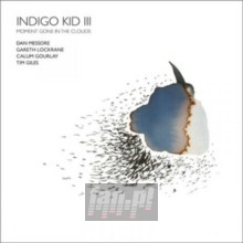 Moment Gone In Clouds - Indigo Kid