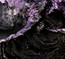 The Mirror Void - Nekrasov