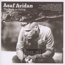 The Study On Falling - Asaf Avidan