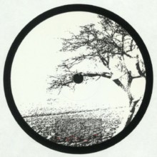 Open Door / Vinyl-Only - Losoul