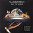 Rule The World - The Greatest Hits - Tears For Fears