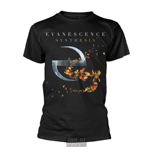 Synthesis _TS80334_ - Evanescence