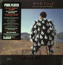 Delicate Sound Of Thunder: Live - Pink Floyd