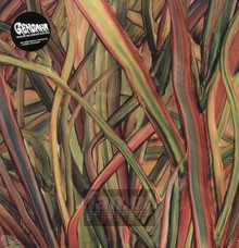 Where Wildness Grows - Gengahr