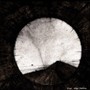 Alma | Baltica - Dirge