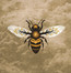 Medicine - Bees Made Honey In The Ve