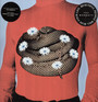 Beautiful People Will Ruin Your Life - The Wombats