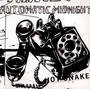 Automatic Midnight - Hot Snakes