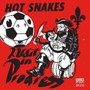 Audit In Progress - Hot Snakes