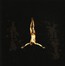 The Enemy Of Virtue - Profanatica