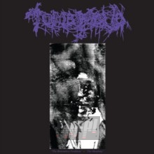 Bottomless Perdition/The - Tomb Mold