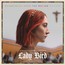 Lady Bird  OST - V/A