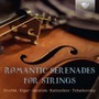 Romantic Serenades For ST - V/A