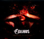 Trusting The Illusion - Collibus