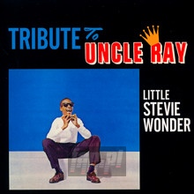 Tribute To Uncle Ray/ The Jazz Soul Of Little Stevie - Stevie Wonder