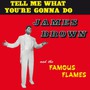 Tell Me What You're Tell Me What You're Gonna Do - James Brown