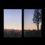 Long Wave - Bonny Doon