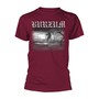 Aske 2013 _TS803341446_ - Burzum