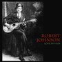 Love In Vain - Robert Johnson