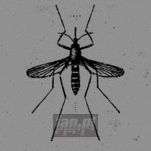 Mosquito Control - Isis