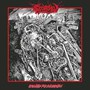 Exavated For Evisceration - Scorched
