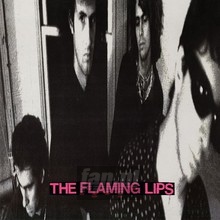 In A Priest Driven Ambula - The Flaming Lips 
