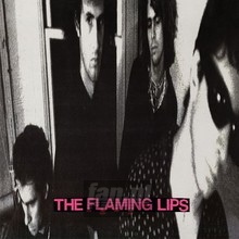 In A Priest Driven Ambula - The Flaming Lips In A Priest Driven Ambula - The Flaming Lips