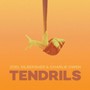 Tendrils - Joel Silbersher