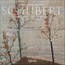 Schubert: Piano Sonata D.960 - F. Schubert