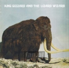 Polygondwanaland - King Gizzard & The Lizard Wizard