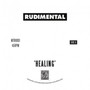 Healing / No Fear - Rudimental