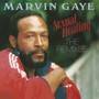 Sexual Healing The Remixes - Gaye Marvin