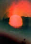 Ourdom - Solar Fields Ourdom - Solar Fields