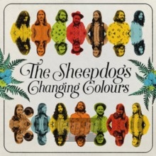 Changing Colours - Sheepdogs