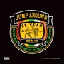 Jump Around 25 Year Remix - Everlast