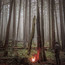 Beacon Of Faith - Baptists