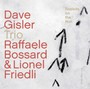 Rabbit On The Run - Dave Gisler  -Trio-