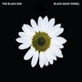 Black Daisy Wheel - The Black Dog 